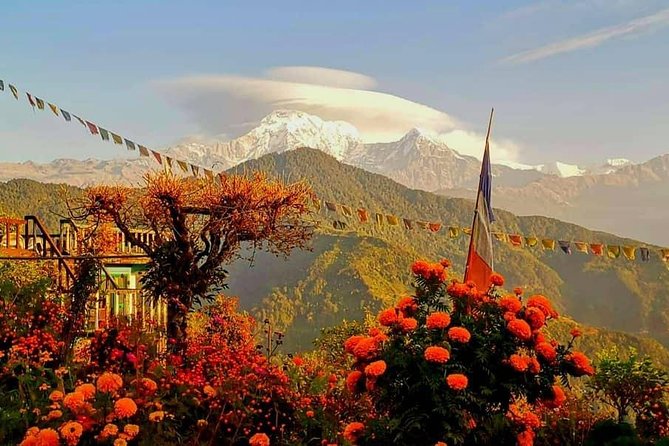 1-Day Private Dhampus Trekking Tour - Why Dhampus works when you have only one day