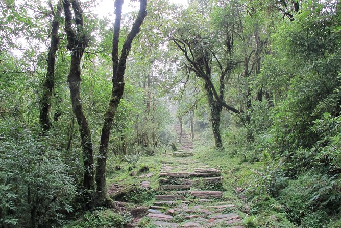 1-Day Private Dhampus Trekking Tour - Descending to Kande and returning to Pokhara