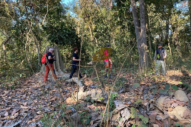 1 Night 2 Days Chitwan Jungle Safari Tour from Kathmandu - The morning jeep safari