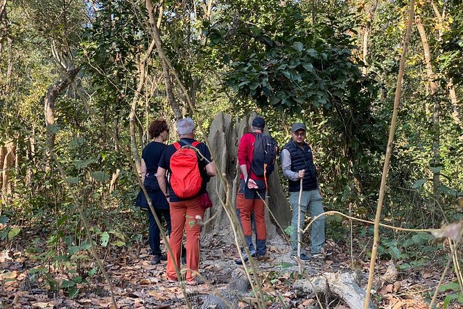 1 Night 2 Days Chitwan Jungle Safari Tour from Kathmandu - Is $155 a fair price?