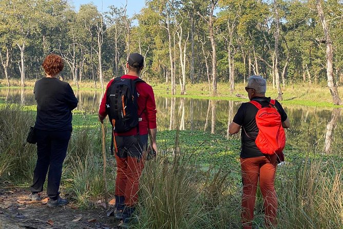 1 Night 2 Days Chitwan Jungle Safari Tour from Kathmandu - The main risk: a tight first afternoon