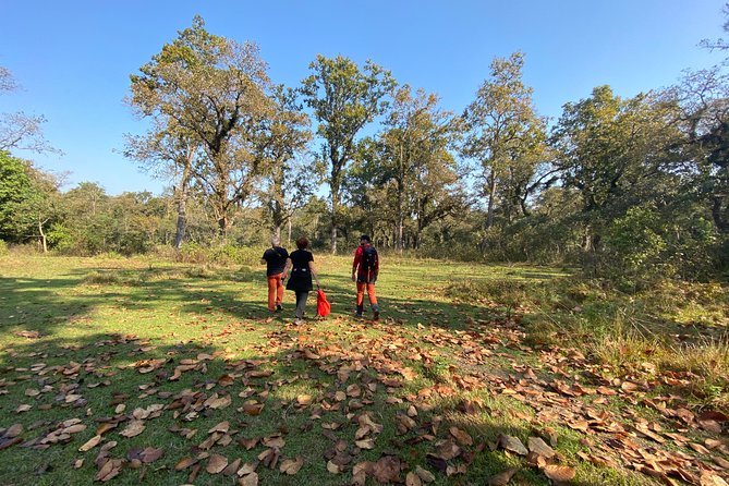 1 Night 2 Days Chitwan Jungle Safari Tour from Pokhara or Kathmandu - A fast route into Chitwan National Park