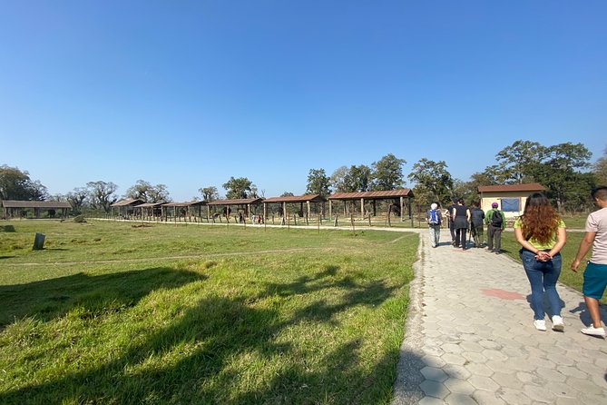 1 Night 2 Days Chitwan Jungle Safari Tour from Pokhara or Kathmandu - Where the organization may fall short