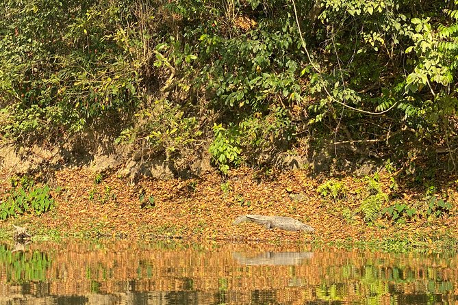 1 Night 2 Days Chitwan Jungle Safari Tour from Pokhara or Kathmandu - Sunset by the Rapti River