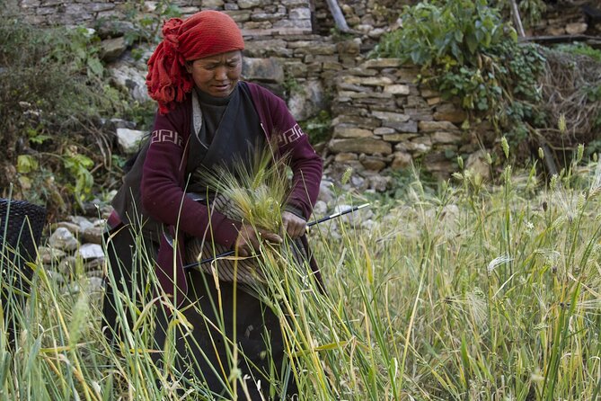 10 Days Manaslu Circuit Trek in Larke La Pass - Day 3: Jagat to Deng through Philim