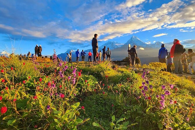 10 Days Private Guided Annapurna Basecamp Trek via Poon Hill - Day 2: Ulleri to Ghorepani through forest and villages