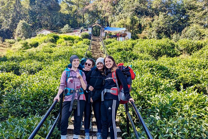 10 Days Private Guided Annapurna Basecamp Trek via Poon Hill - Day 3: Poon Hill sunrise and the trail toward Chhomrong
