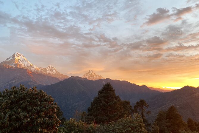 10 Days Private Guided Annapurna Basecamp Trek via Poon Hill - Day 5: Chhomrong to the bamboo and oak forests