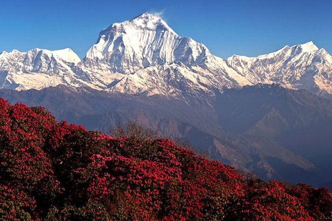 10 Days Private Guided Annapurna Basecamp Trek via Poon Hill - Day 1: Nayapul to Ulleri and the first 3,000 steps