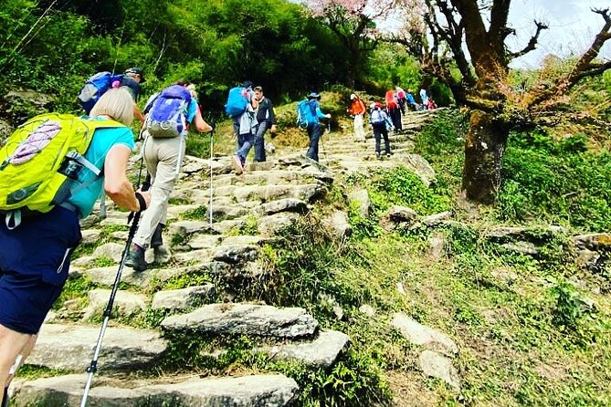 11-Day Hike Tour to Annapurna Base Camp Bliss in Kathmandu - Day 3, 3,300 stone steps to Ghorepani