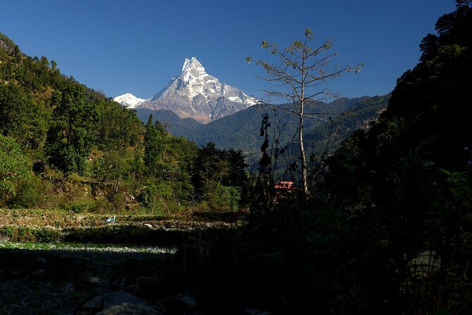 12-Day Nepal Adventure Trek with Jungle Safari - Day 2: Four major sights in Kathmandu