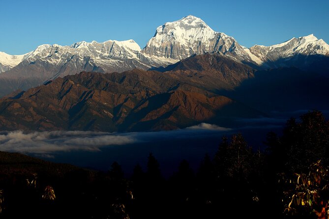 12-Day Nepal Adventure Trek with Jungle Safari - Day 4: Nayapul to Tikhedhunga