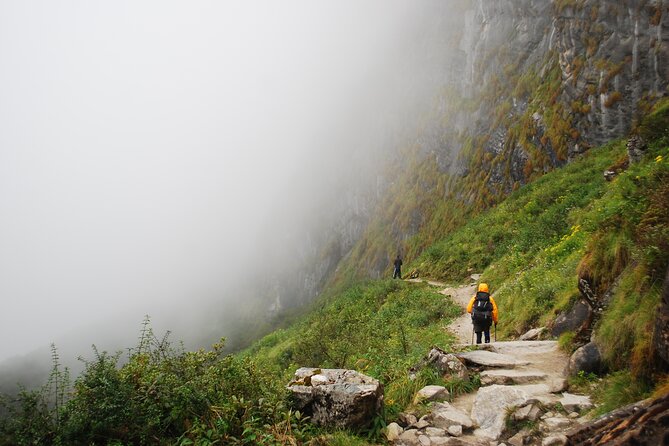 12 Days Annapurna Base Camp Trek - Days 6 and 7: Bamboo forests, Dovan, and Himalaya