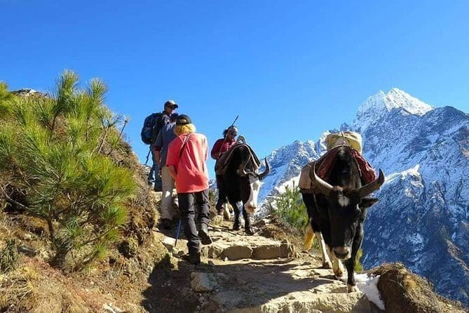 14 Days Everest Base Camp Trekking - Gorak Shep and Everest Base Camp at 5,364 meters