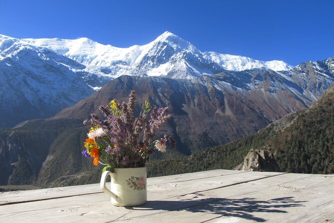 15-Day Private Annapurna Circuit Trek from Kathmandu - Days 8 and 9: Leaving the Marshyangdi for the high valley