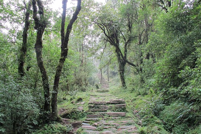 2-Day Private Trekking Tour to Australian Camp & Dhampus - Returning to Pokhara in about three hours