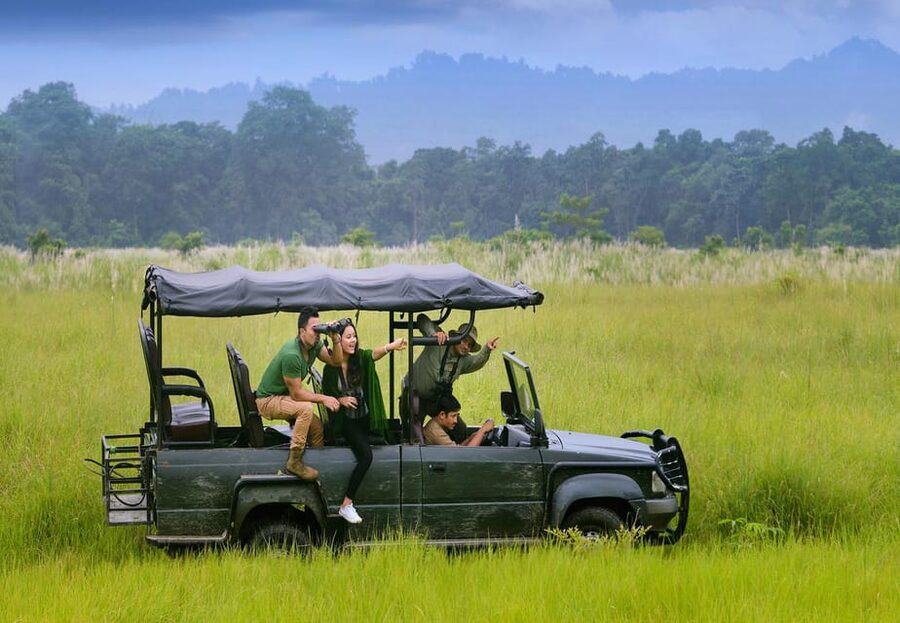 2 Days Chitwan Jungle Safari Tour from Pokhara/Kathmandu - What this two-day Chitwan tour is really offering