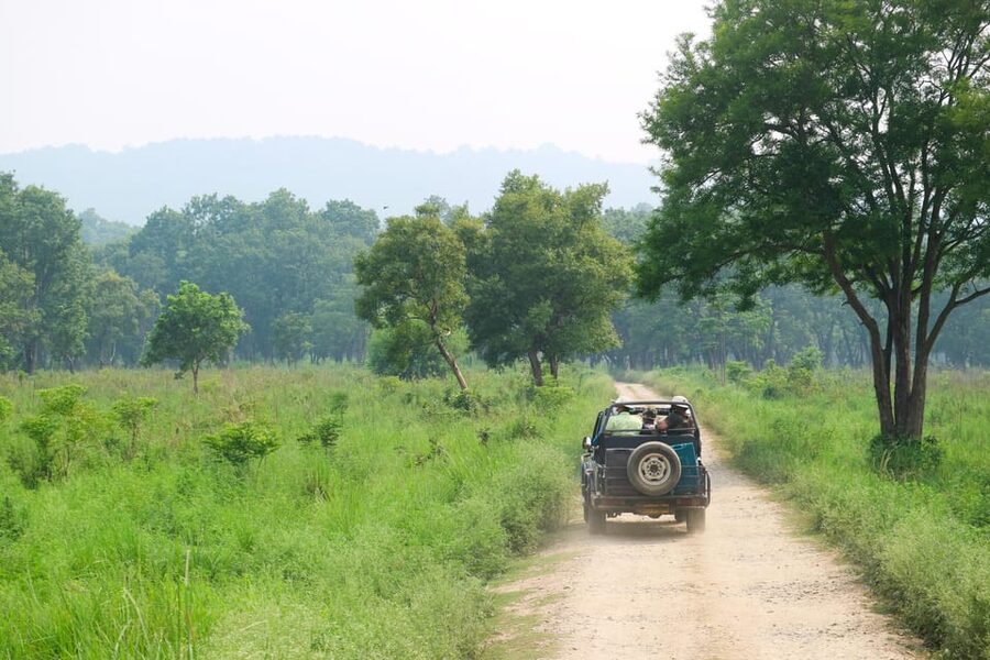 2 Days Chitwan Jungle Safari Tour from Pokhara/Kathmandu - The jeep safari and the search for wildlife