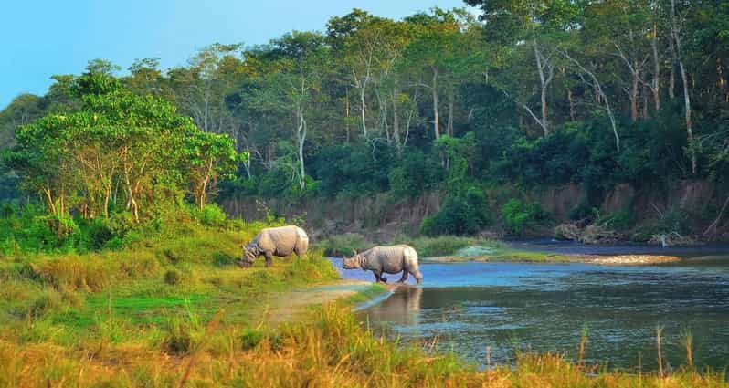 2 Days Chitwan Jungle Safari Tour from Pokhara/Kathmandu - Accommodation, guiding, and service