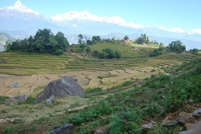 2 Days Panchase Hill Trek from Pokhara - Five hours downhill to Ghatichhina