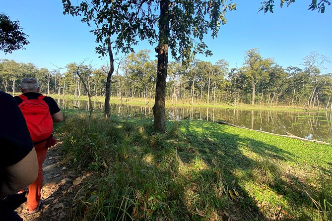 2 Hours Nature Walk in Chitwan National Park - What the two-hour Chitwan walk is really about