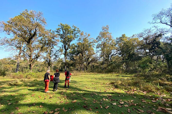 2 Hours Nature Walk in Chitwan National Park - Entering Chitwan National Park on foot