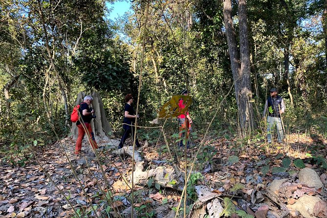 2 Hours Nature Walk in Chitwan National Park - Resham Rimal and the value of a private guide