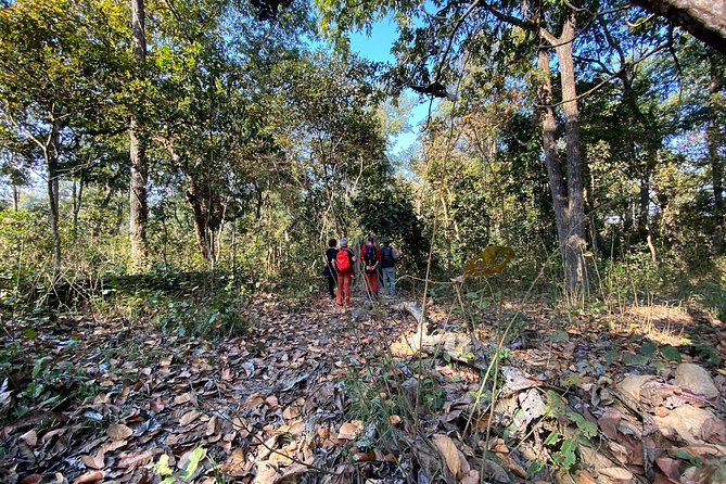 2 Hours Nature Walk in Chitwan National Park - What you may see in two hours