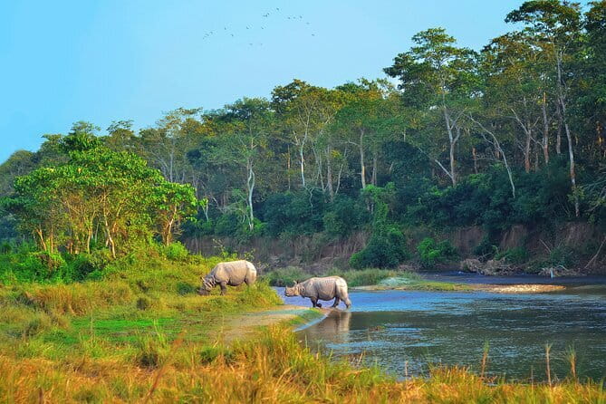 2 Night 3 Day Chitwan Jungle Safari Tour from Pokhara - Key points before you book