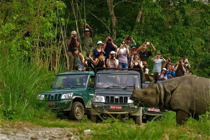 2 Night 3 Day Chitwan Jungle Safari Tour from Pokhara - From Pokhara’s hills to Sauraha’s flat Terai