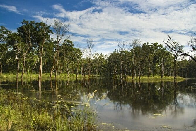 2 Night 3 Day Chitwan Jungle Safari Tour from Pokhara - The full Jeep Safari is the main event