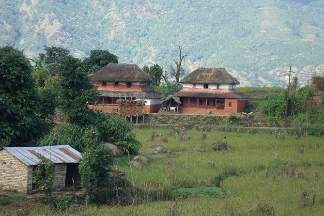 2 Night 3 Day Chitwan Jungle Safari Tour from Pokhara - Day 3 returns you to Pokhara or continues to Kathmandu