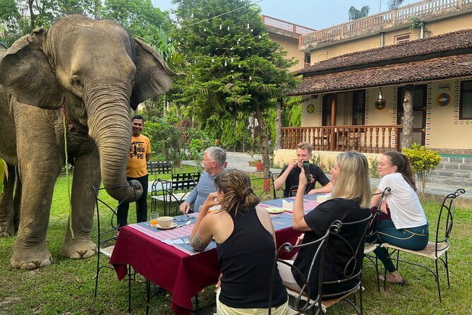 2 Nights 3 Days Chitwan National Park Package with Jeep Safari - What the $185 price really covers