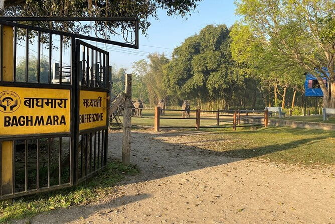 2 Nights 3 Days Chitwan National Park Package with Jeep Safari - How the private format affects your day