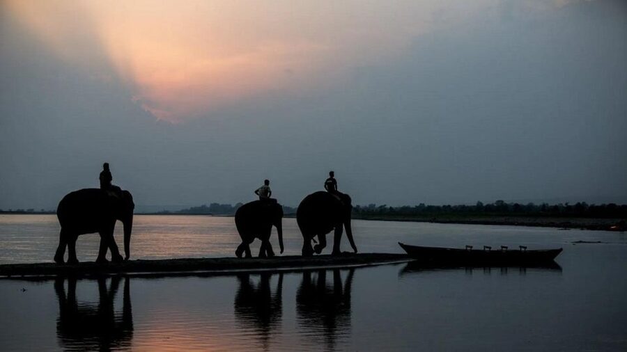 3-Day Chitwan Jungle Safari Adventure From Kathmandu/Pokhara - Day 3 and the return to Kathmandu or Pokhara