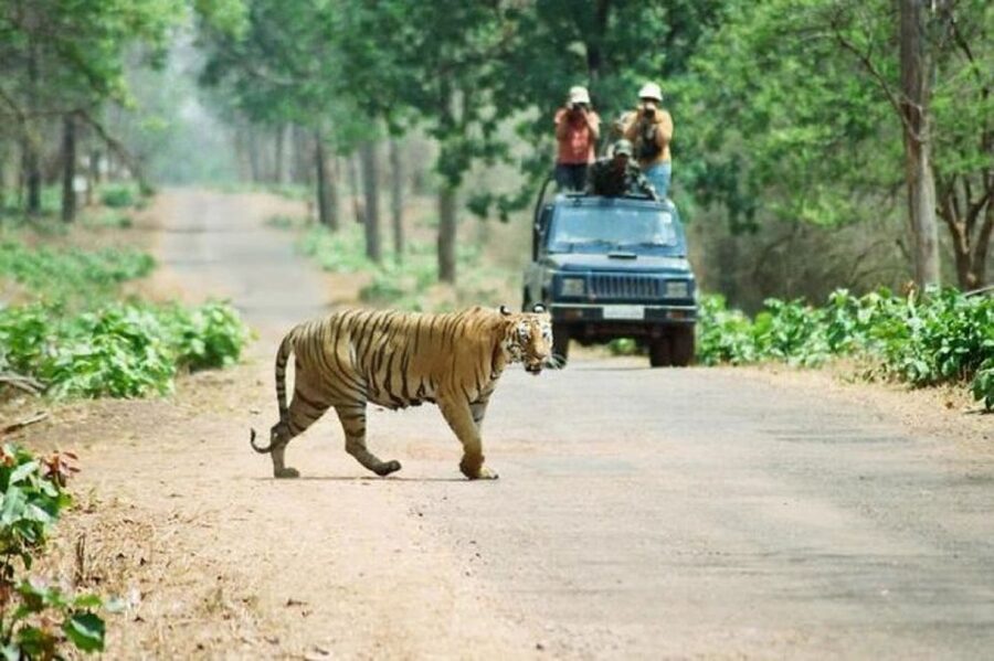 3-Day Chitwan Jungle Safari Adventure From Kathmandu/Pokhara - The six-hour ride from Kathmandu or Pokhara