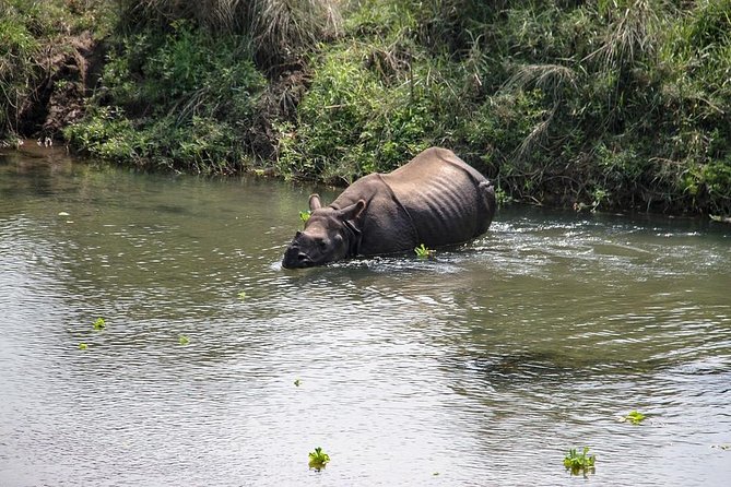 3-Day Chitwan Jungle Safari Tour from Kathmandu - Leaving Kathmandu at 6 am
