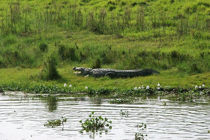 3-Day Chitwan Jungle Safari Tour from Kathmandu - Canoeing the Rapti River at 7 am