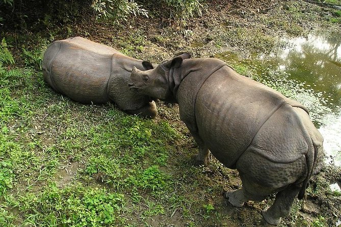 3-Day Chitwan Jungle Safari Tour from Kathmandu - The guide and group setup