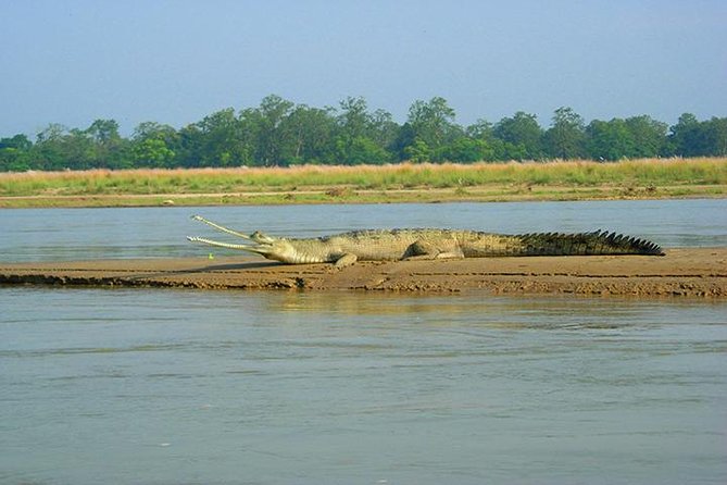 3-Day Chitwan Jungle Safari Tour from Kathmandu - Arriving in Chitwan and meeting the Tharu community