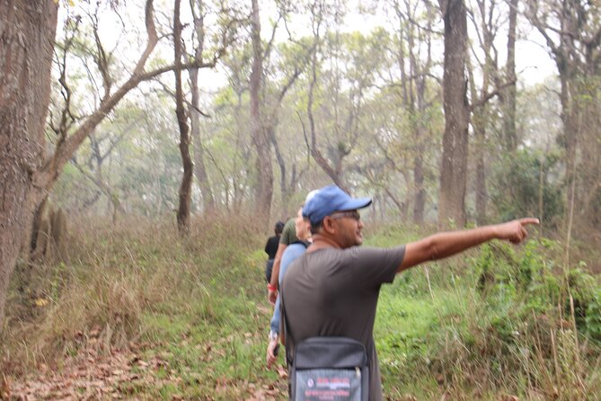 3-Day Chitwan National Park Jungle Safari Tour Package with Pick Up - Why three days works well in Chitwan
