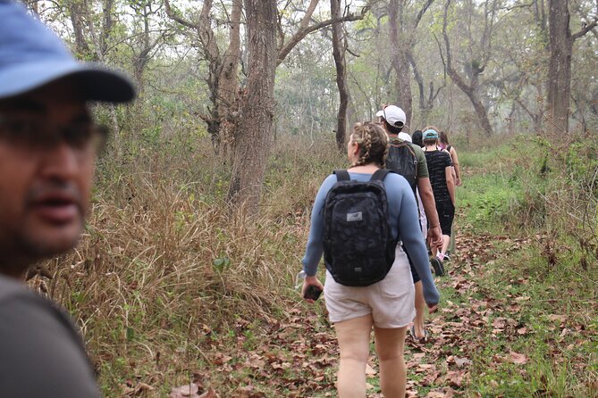 3-Day Chitwan National Park Jungle Safari Tour Package with Pick Up - Arrival at the resort near Sauraha