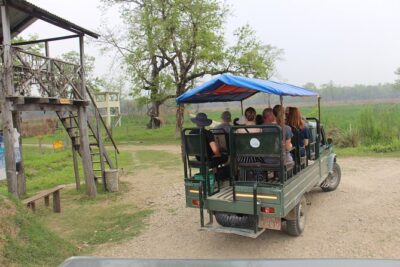 3-Day Chitwan National Park Jungle Safari Tour Package with Pick Up