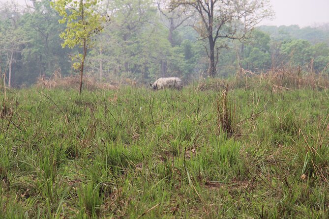 3-Day Chitwan National Park Jungle Safari Tour Package with Pick Up - Tharu village life and the first afternoon