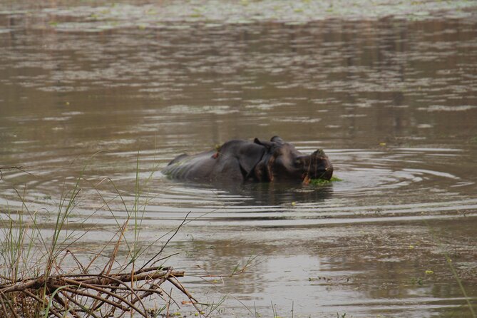 3-Day Chitwan National Park Jungle Safari Tour Package with Pick Up - The 6:00 AM start and Rapti River canoe ride