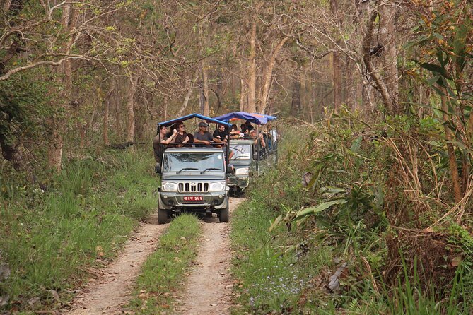 3-Day Chitwan National Park Jungle Safari Tour Package with Pick Up - Birdwatching around Chitwan