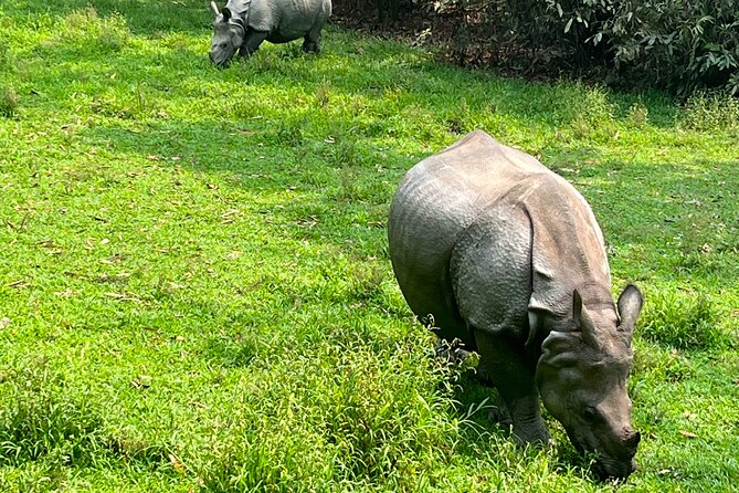3-Day Guided Safari Tour in Chitwan National Park in Nepal - Day 2: Birds, riverbanks, and crocodiles