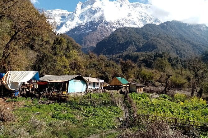 3 Day Kapuche Glacier Lake Trek with Siklesh from Pokhara - A different view on the return to Pokhara