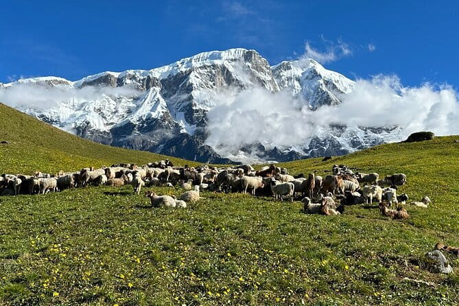 3 Day Kapuche Glacier Lake Trek with Siklesh from Pokhara - Who should choose this three-day route