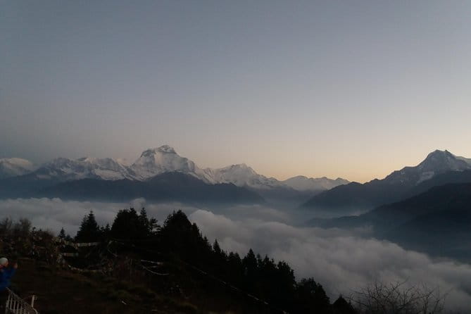 3 Day Mardi Himal Base Camp Trek from Pokhara - Tea houses, meals, and the practical side of the trek